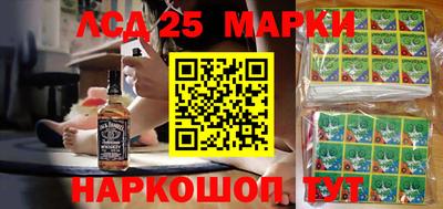 прущие грибы Кандалакша