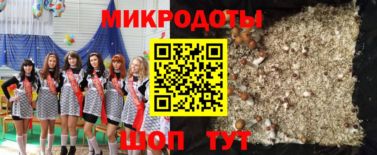 Псилоцибиновые грибы Psilocybine cubensis  Вход с VPN  Нарткала 